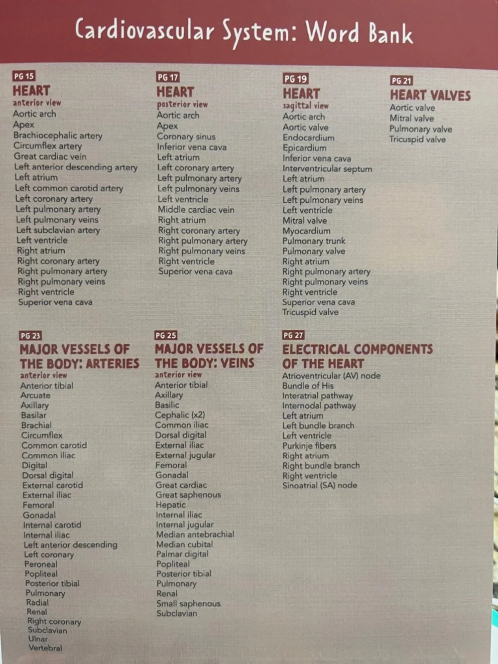 Nurse In The Making‎ Anatomy Label Lab Workbook Spiral Bound Laminated NEW